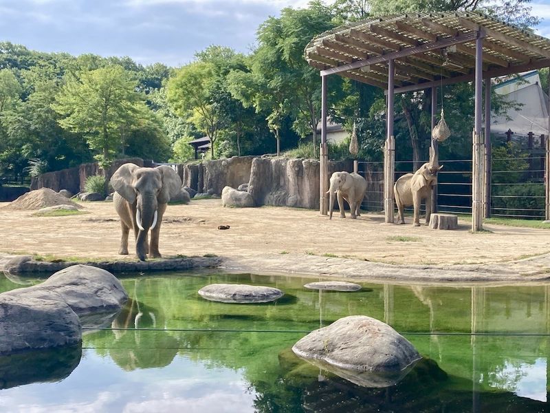 Cleveland Metroparks Zoo – Ohio's Conservation Champion