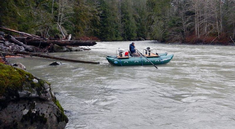 Thrilling Eagle Rafting Adventures On The Nooksack River
