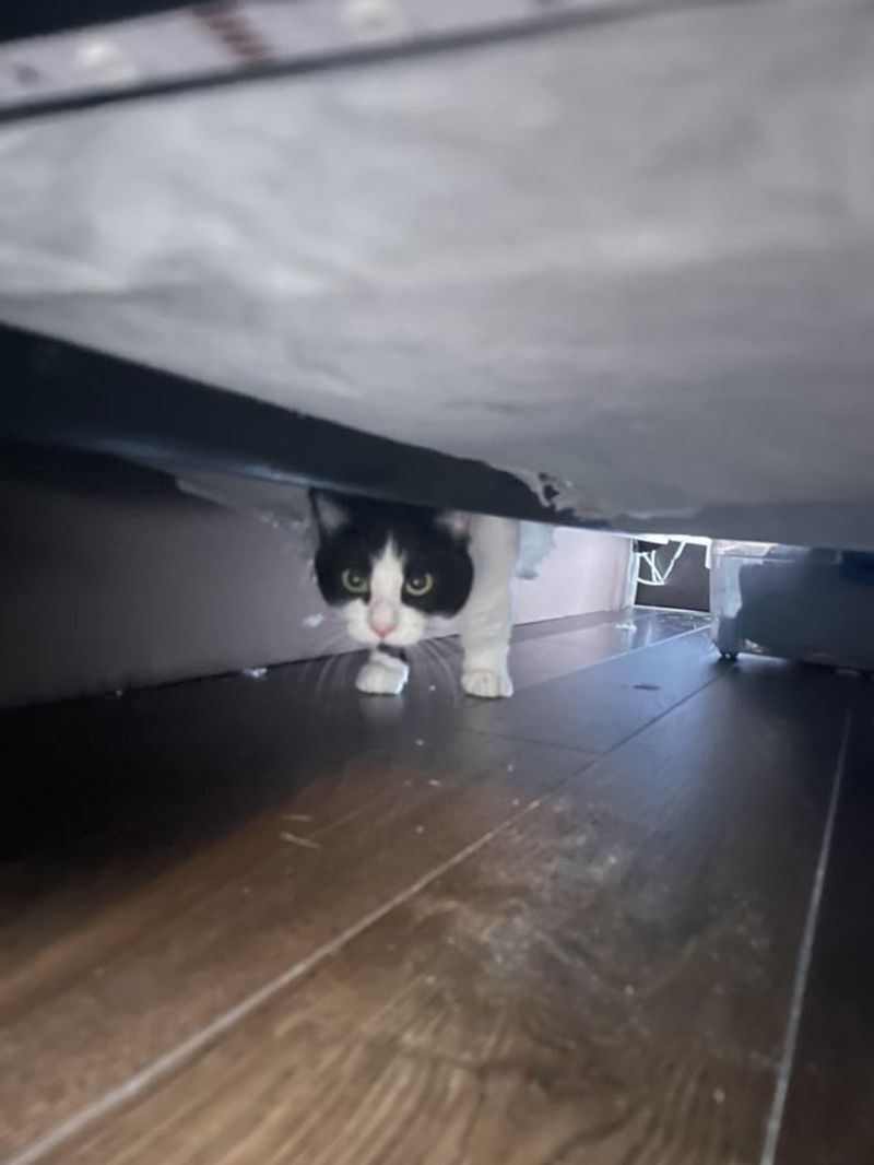 Under the Bed Frame: The Classic Concealment Zone