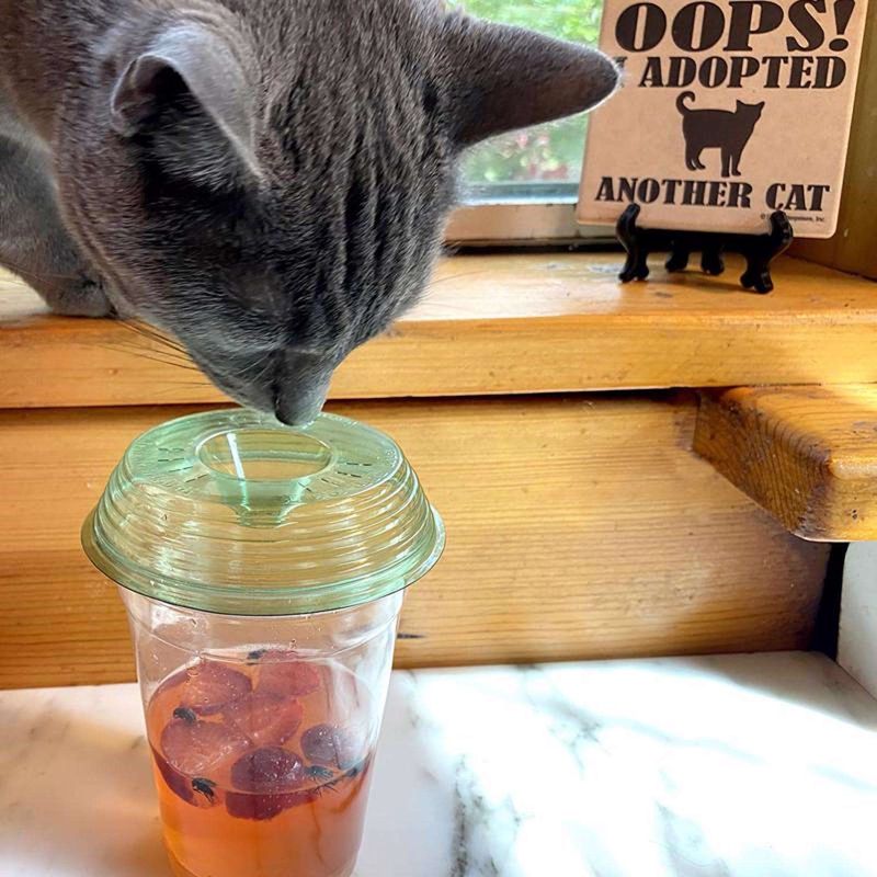 Has A Sweet Tea Addiction