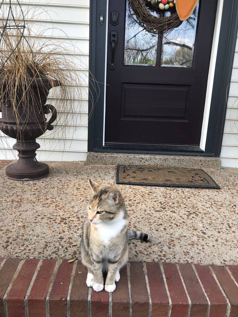 Prefers Front Porch Lounging