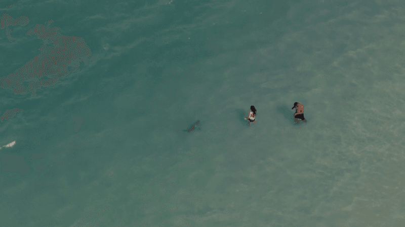 Daytona Beach, Florida