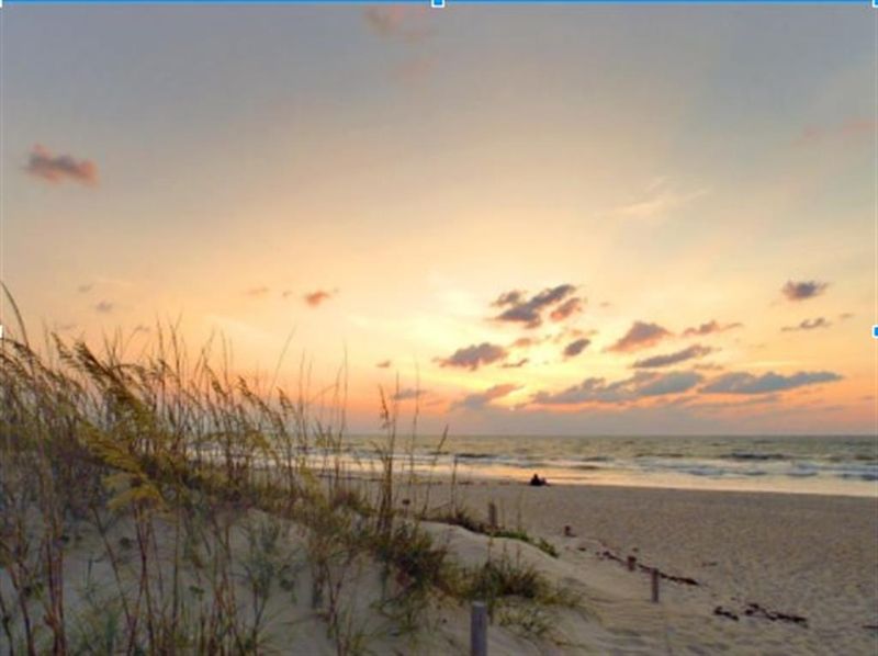 Bald Head Island Beaches: Exclusive Shores Without Scaly Visitors