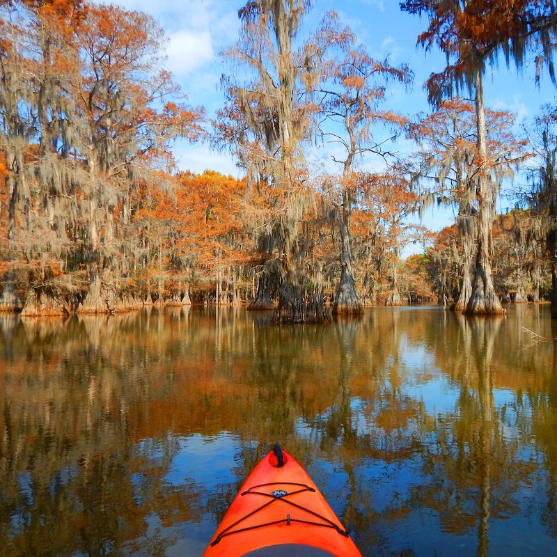 Caddo Lake State Park – East Texas