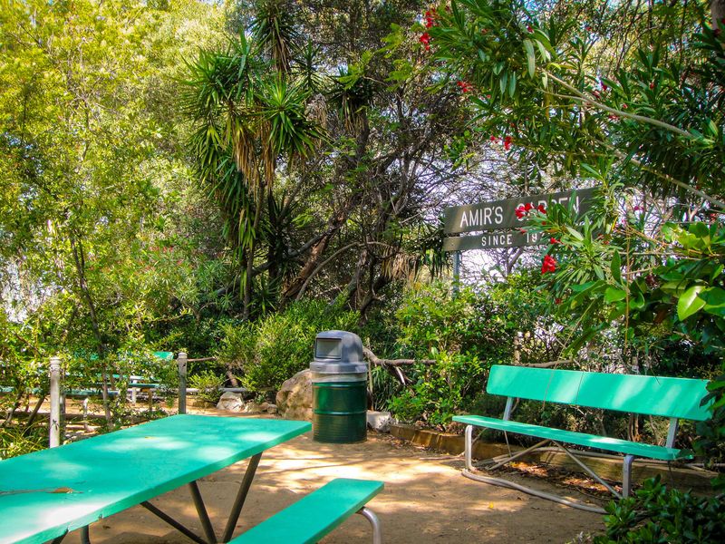 Amir's Garden – Los Angeles, CA