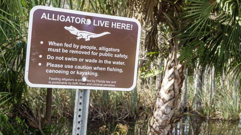 Ban the Swim In Freshwater Bodies