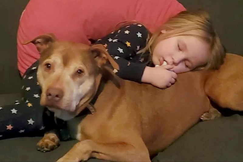 Gratitude and Bonding