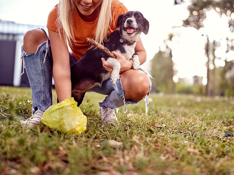Pet Waste Management