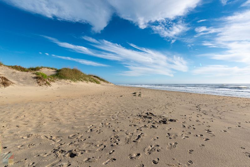 Coquina Beach: Atlantic Waves Without Reptilian Concerns