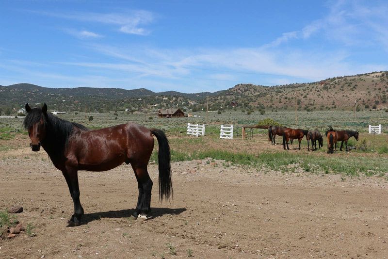 Virginia Range, Nevada