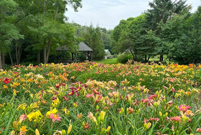 Merryspring Off-Leash Dog Area: Camden's Natural Playground