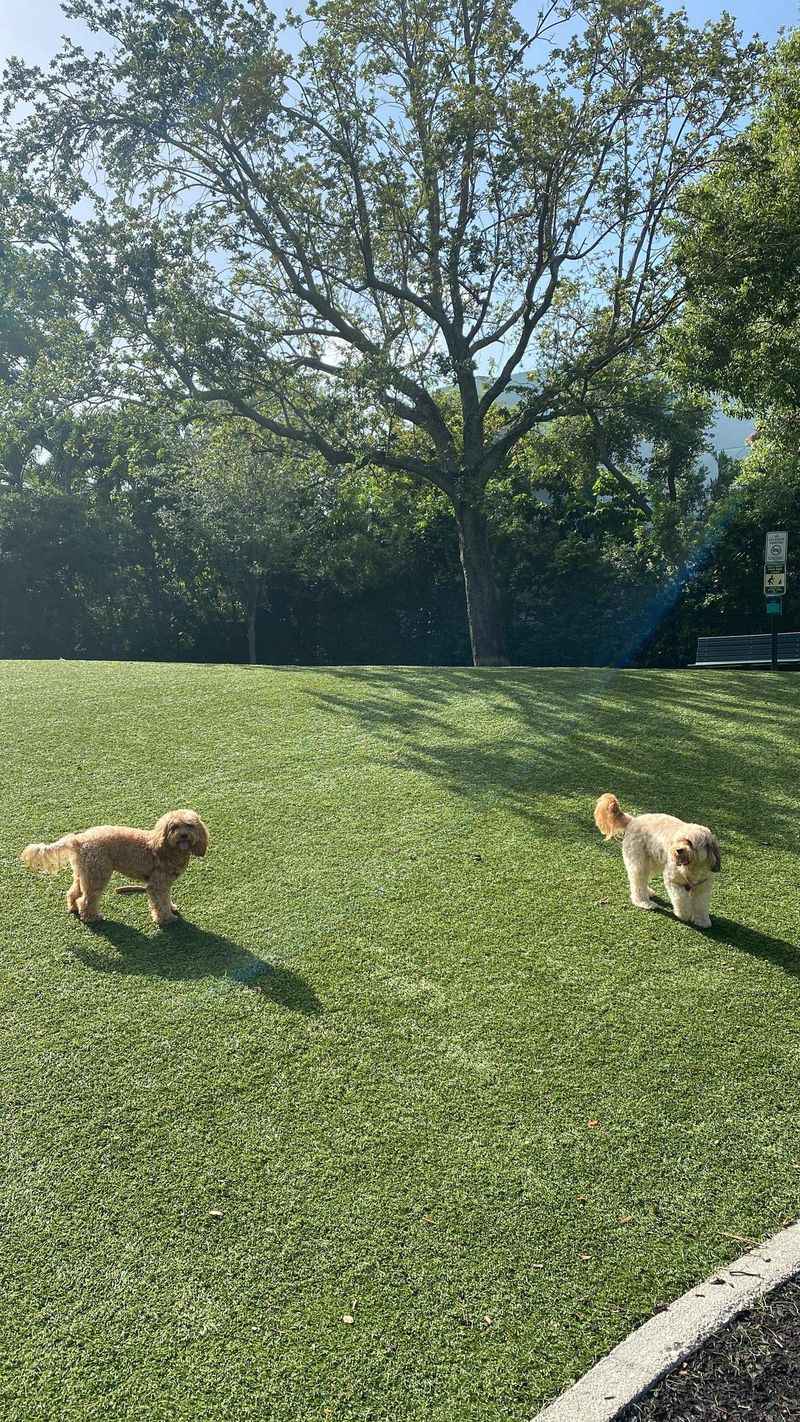 Blanche Dog Park – Coconut Grove (Miami)