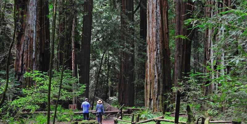 San Francisco to Russian River