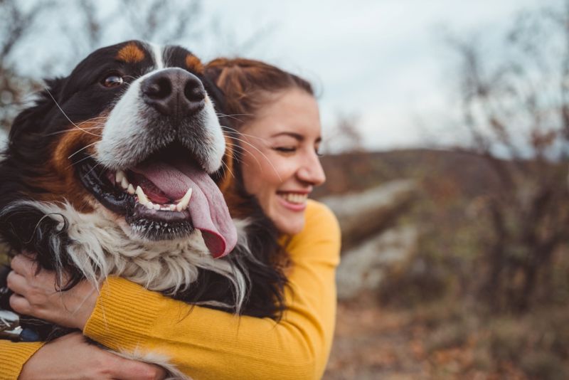 Mississippi: The Magnolia State's Veterinary Care Desert