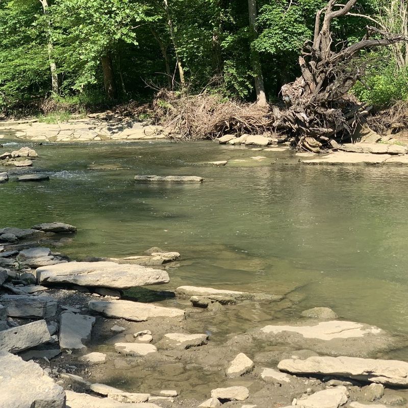 Giles Conrad Park: Hidden Spot With Natural Swimming Holes