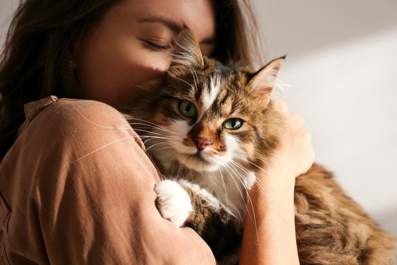 Affectionate Companions After Long Massachusetts Workdays