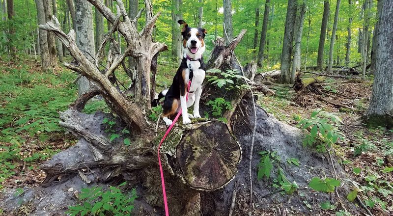 Timbers Recreation Area – Traverse City