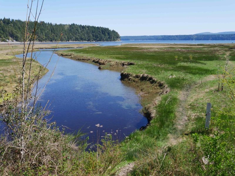 Duckabush Estuary: Where River Meets Sea