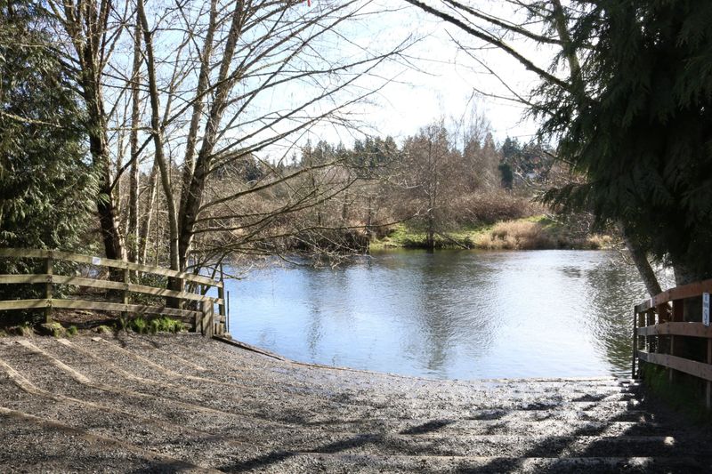 Marymoor Park's River Dog Paradise