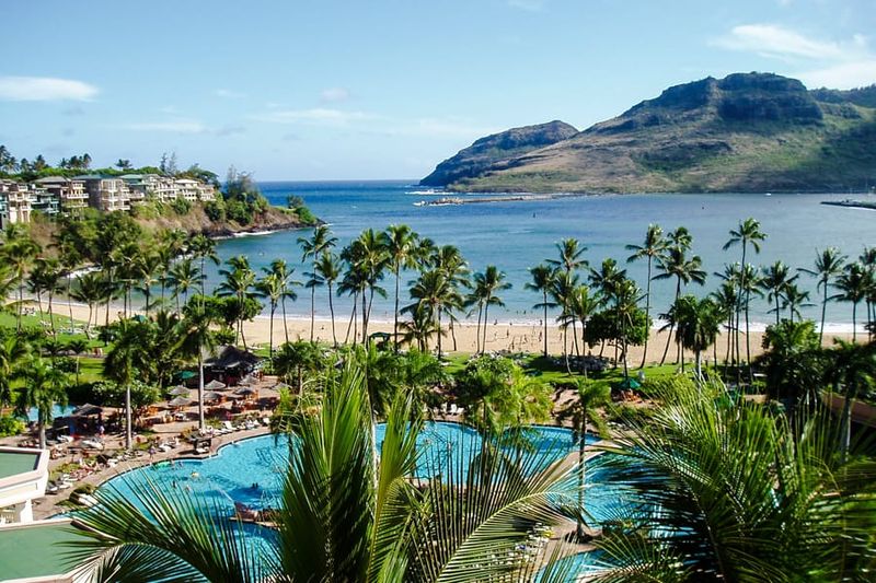 Kalapakī Beach: Pup-Friendly Fun Near Harbor Views
