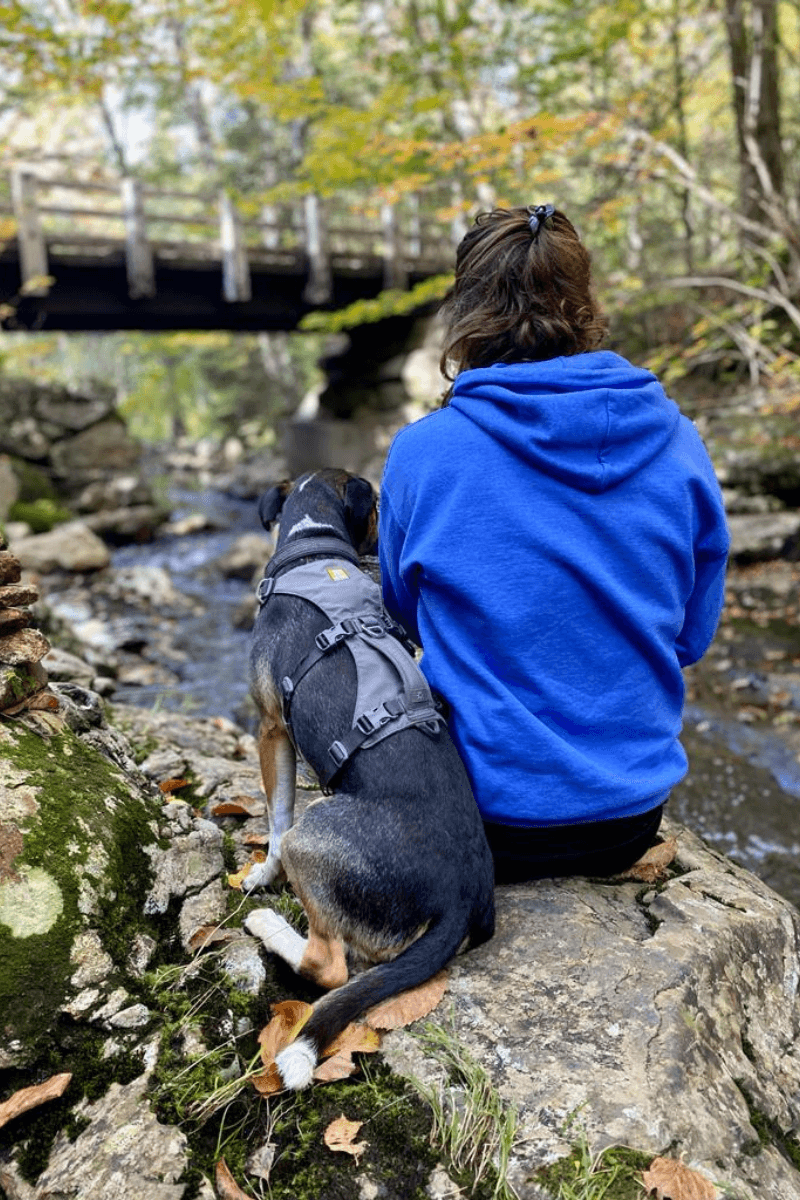 New Hampshire's White Mountain Wonderland
