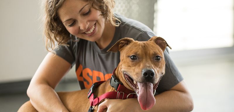 Establish A New Routine For The New Pet