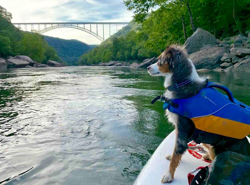 New River Gorge National Park (West Virginia)