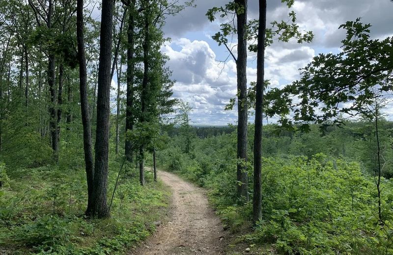 Ogemaw Hills Pathway – West Branch