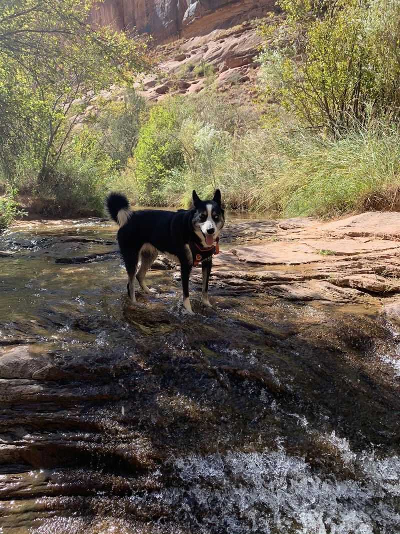 Grandstaff Trail: Shaded Canyon Retreat