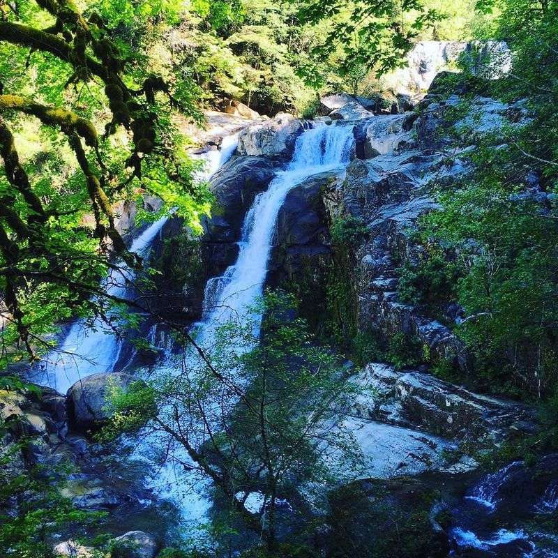 Coquille Myrtle Grove State Natural Site – Myrtle Point