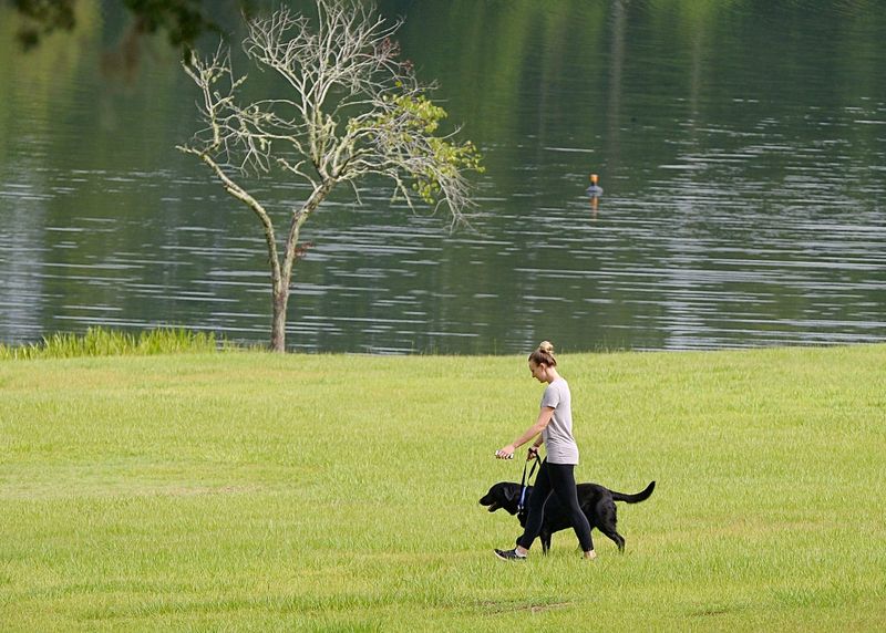 Schedule Wildlife-Smart Walking Times