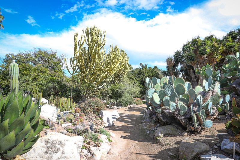 South Coast Botanic Garden – Palos Verdes Estates