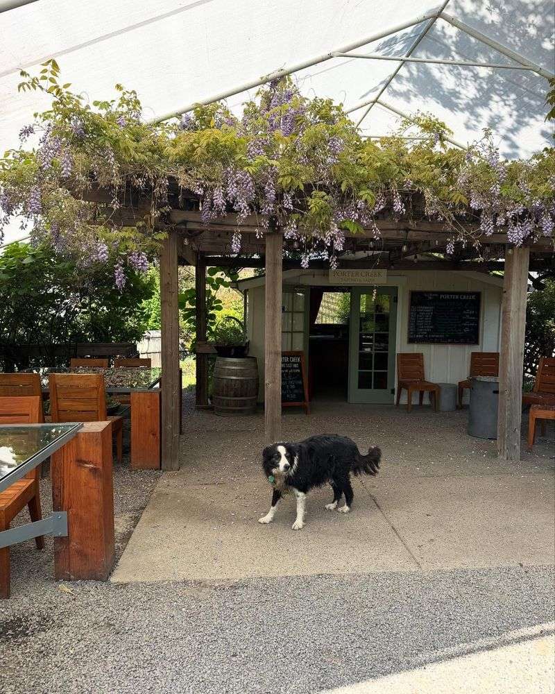 Russian River Wine Road