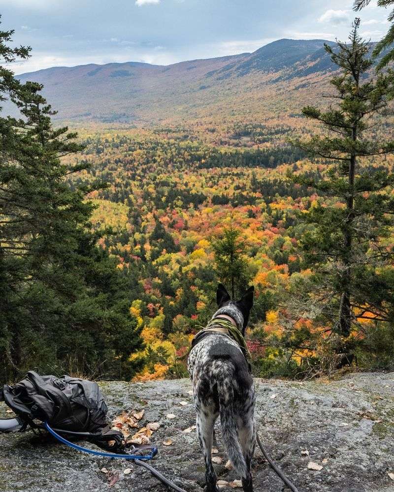 Tumbledown Brook Trail: Wild Mountain Adventure