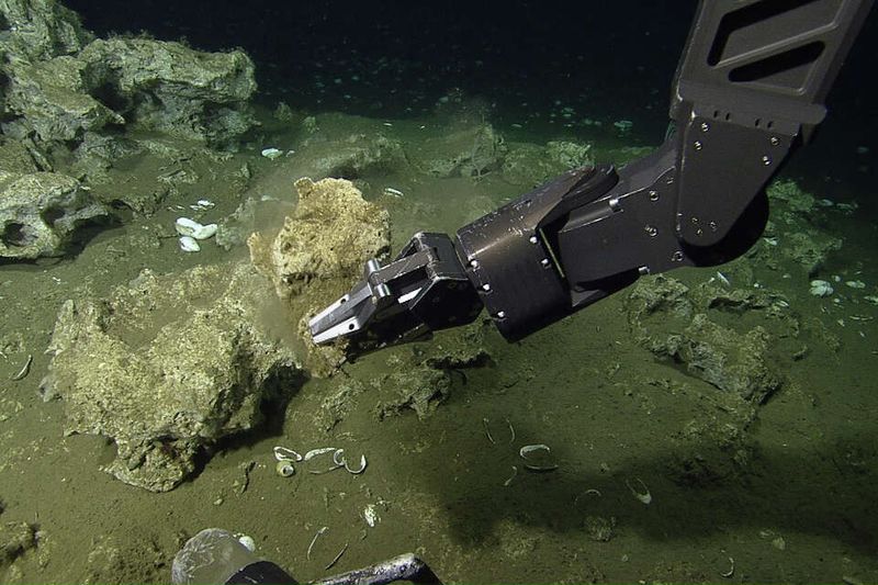 Deep-Sea Habitat off the California Coast