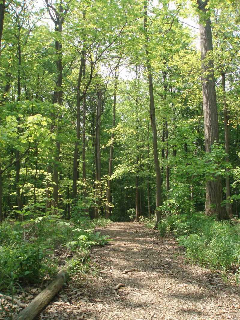 De Veaux Woods State Park