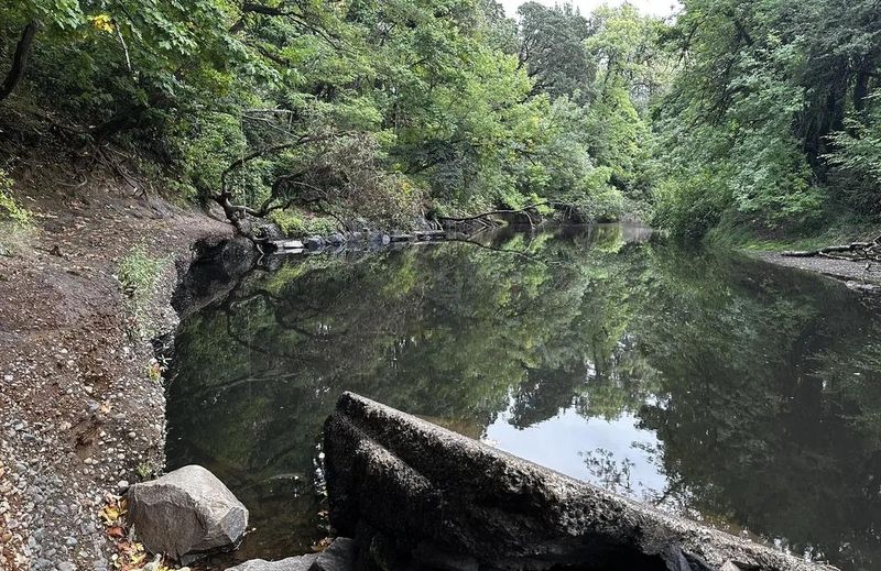 Marys River Park – Philomath