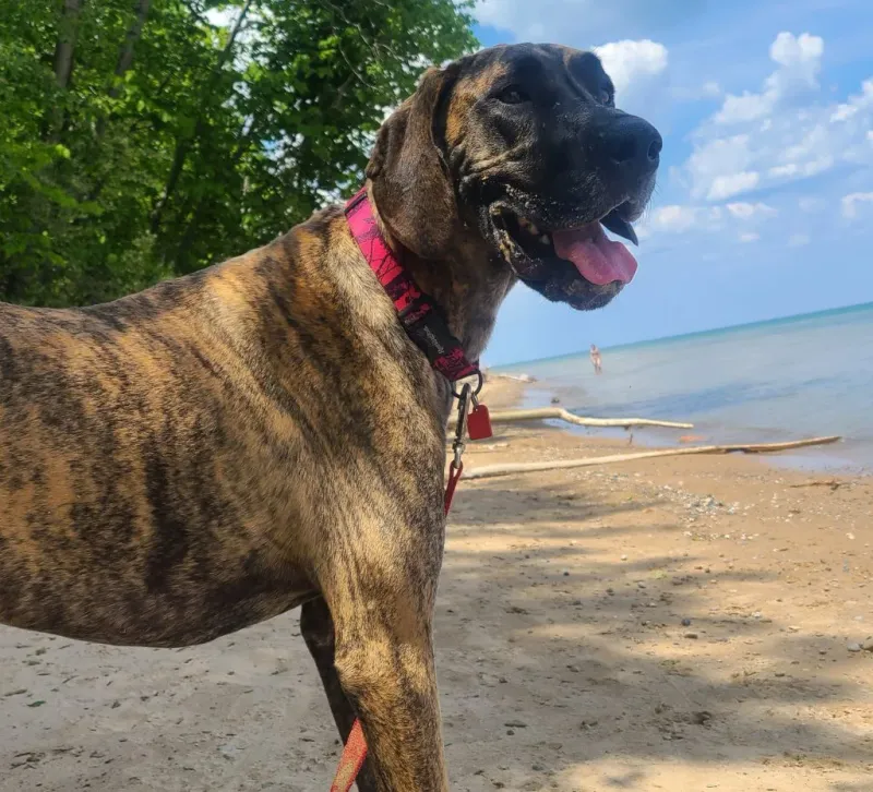 Delaware Park Beach – Fossil-Hunting Frontier
