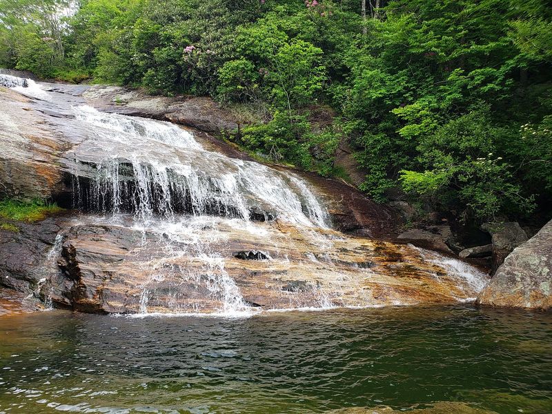Graveyard Fields Loop – Pisgah National Forest