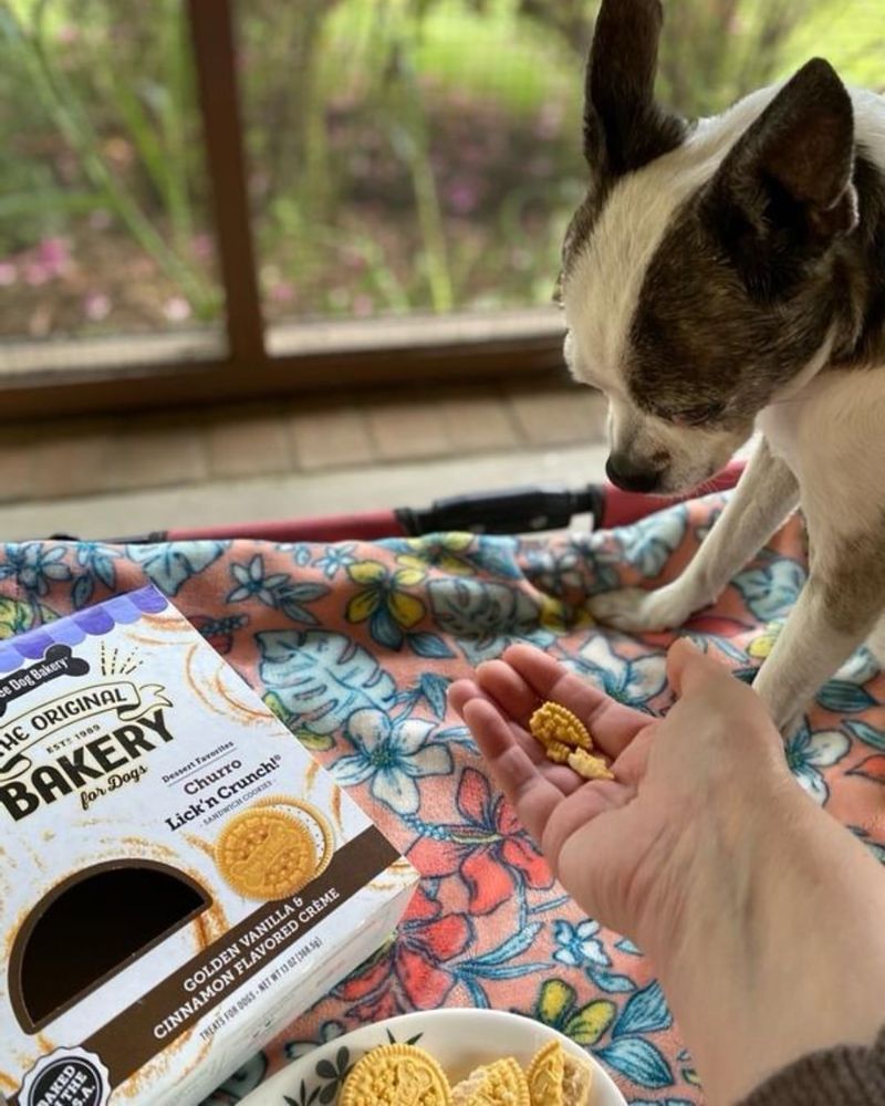Three Dog Bakery: Newport Beach's Coastal Canine Confections