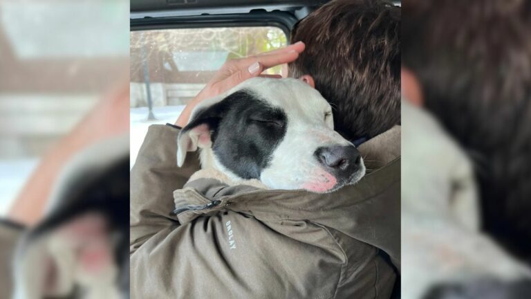 man hugging a pup