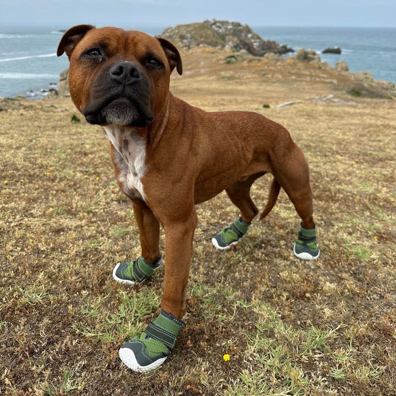 Use Protective Footwear