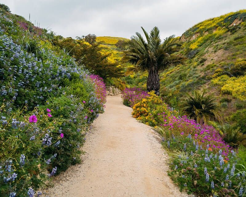 Ventura Botanical Gardens – Ventura