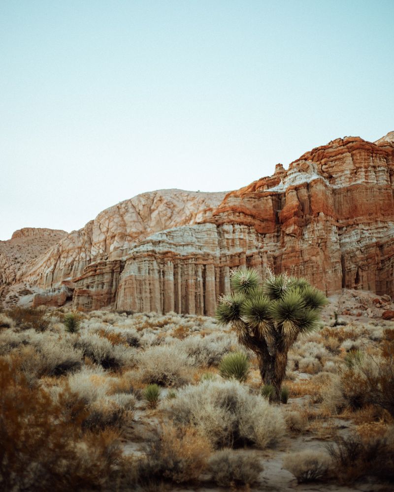 Red Rock Canyon State Park
