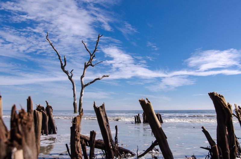 Capers Island Heritage Preserve