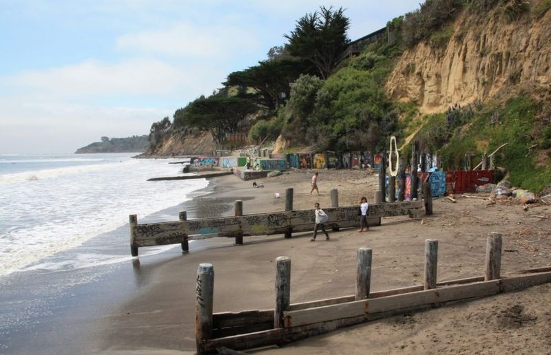 Bolinas: The Quirky Beach Town Dogs Love