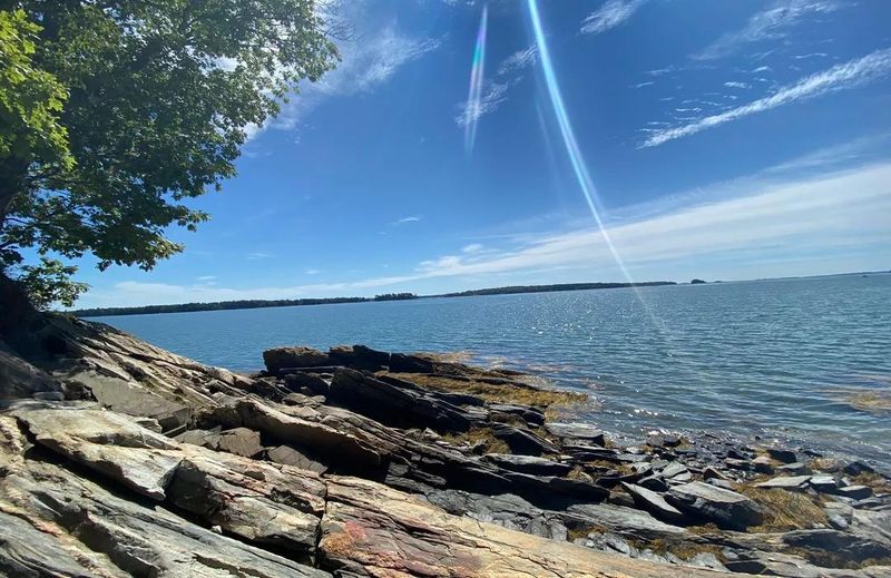 Harraseeket & White Pines Loop: Coastal Forest Adventure