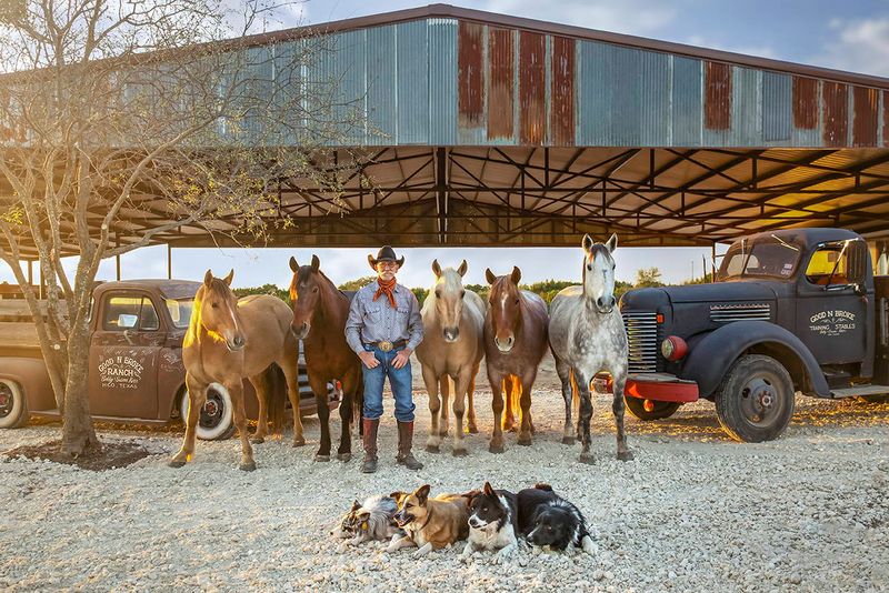 Rodeo-Ready Rovers