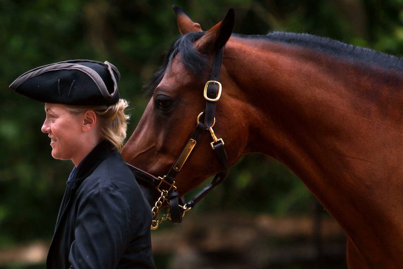 Morgan: America's First Breed Makes Its Mark In California