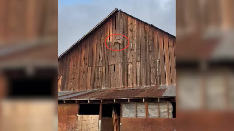 Big Barn
